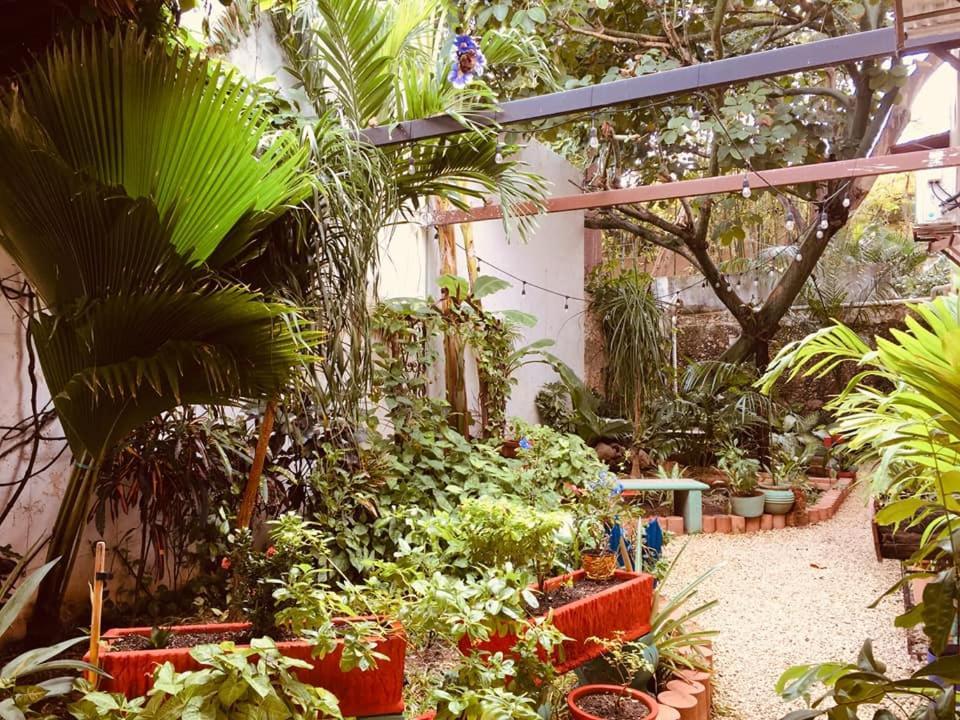 Hotel Casa Pellegrin Merida Luaran gambar